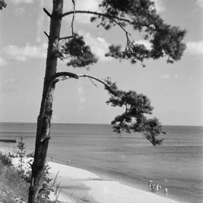 Morze Bałtyckie 1949 r.